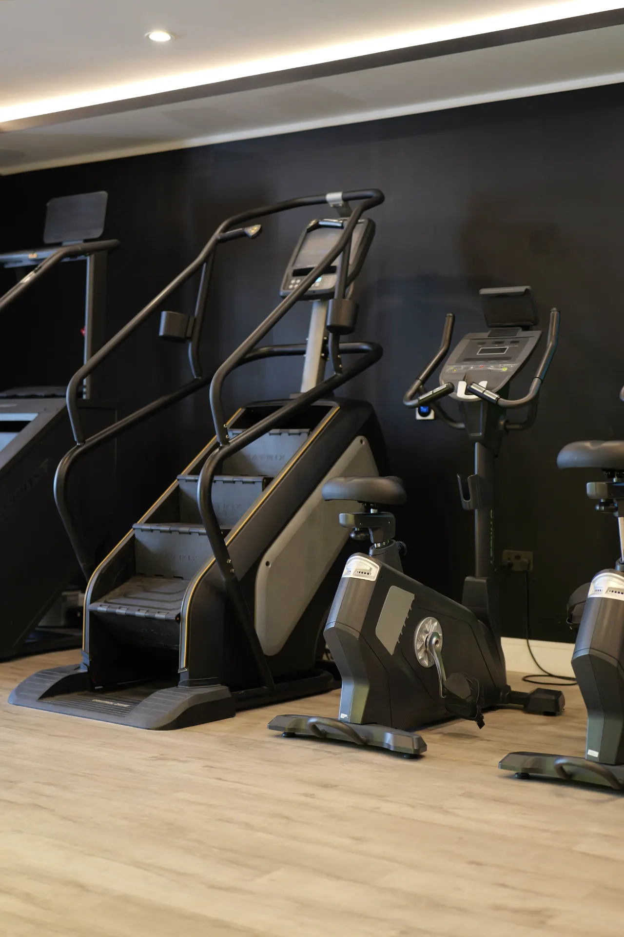 Cardio zone with stair climber, treadmills and upright bikes
